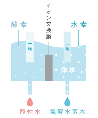 「DEMシステム」